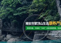 雅安网站建设团队排名_(雅安网站建设团队排名第几)